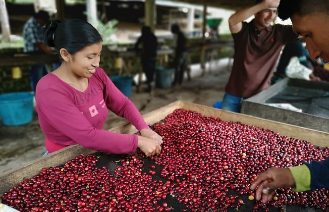 IMG_20190731_163458.81d816ee.fill-652x420_1024x1024